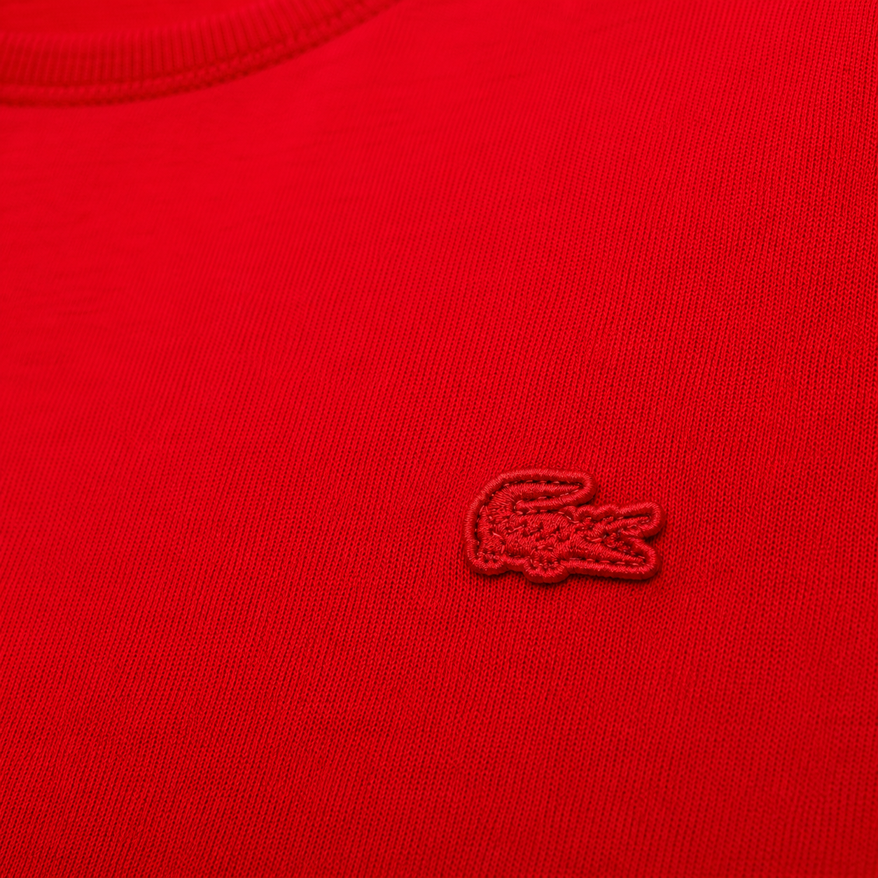 Camiseta Básica Lacoste