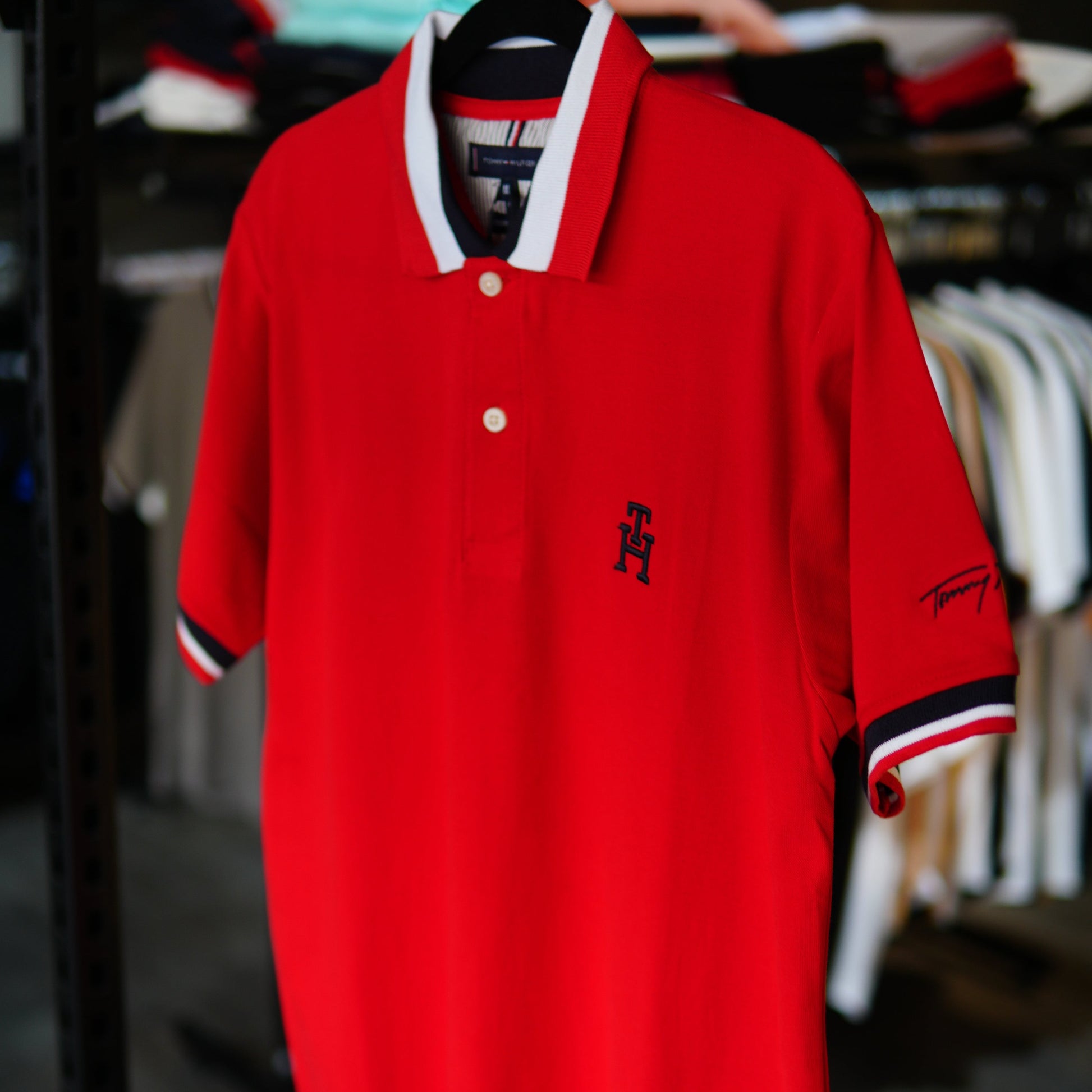 Tipo Polo Tommy
